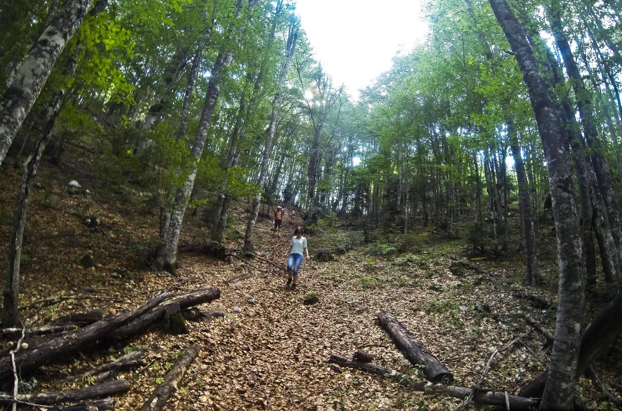 Комплексы для отдыха с коттеджами/бунгало GRAB ethno village and camp Šćepan-Polje-29