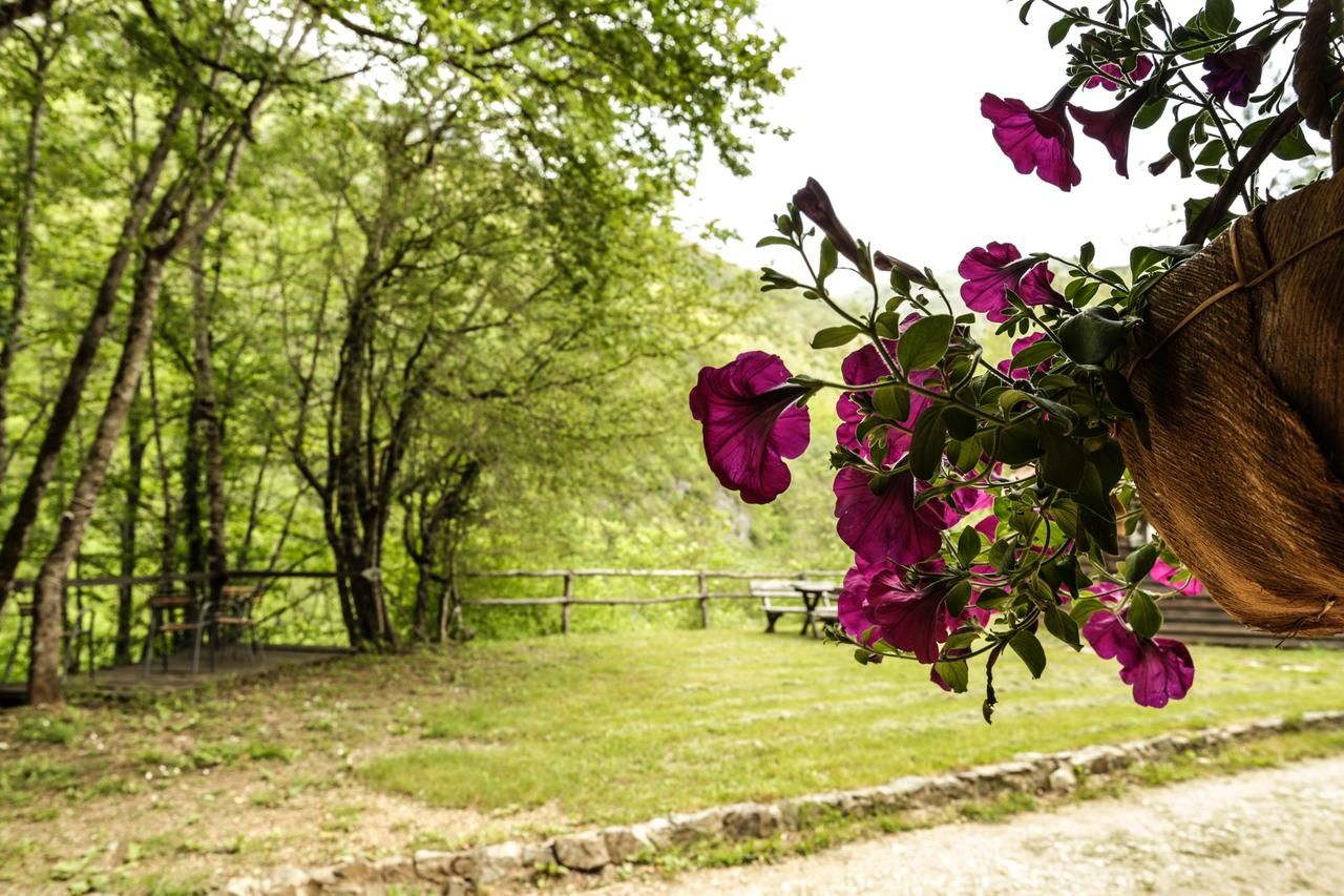 Комплексы для отдыха с коттеджами/бунгало GRAB ethno village and camp Šćepan-Polje