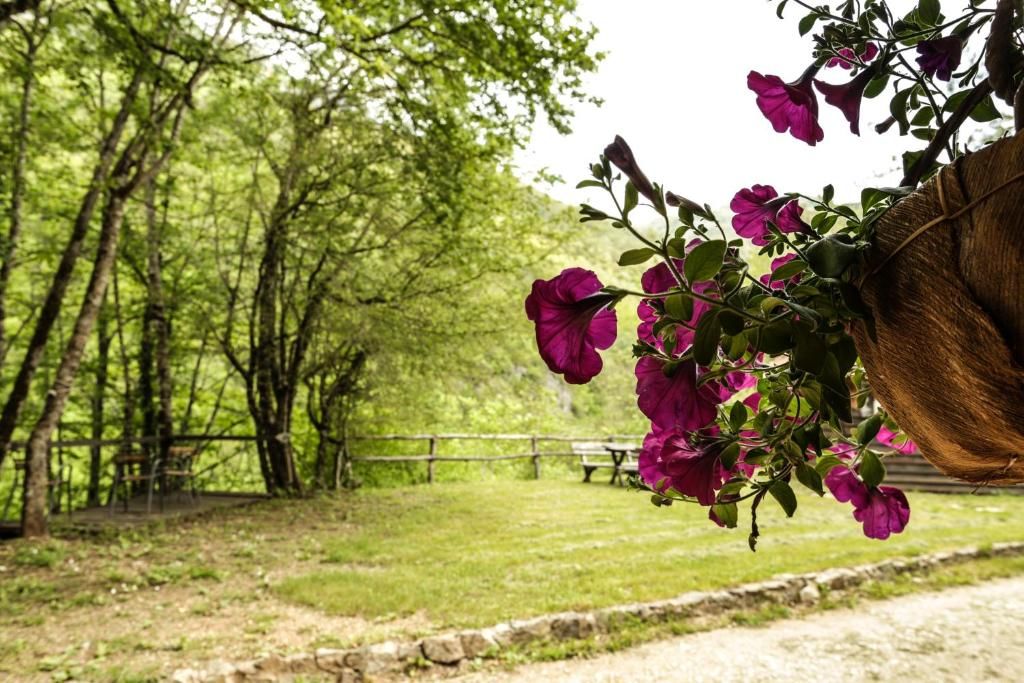 Комплексы для отдыха с коттеджами/бунгало GRAB ethno village and camp Šćepan-Polje