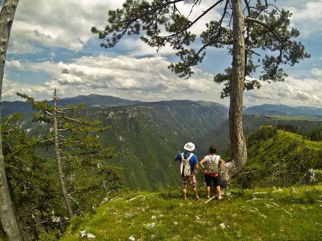 Комплексы для отдыха с коттеджами/бунгало GRAB ethno village and camp Šćepan-Polje-24
